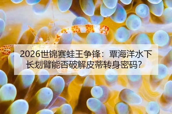 2026世锦赛蛙王争锋：覃海洋水下长划臂能否破解皮蒂转身密码？
